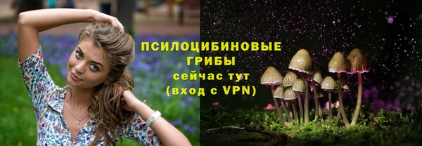 трава Баксан