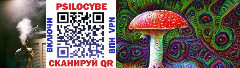 мориарти как зайти  Никольск  Псилоцибиновые грибы Psilocybe 